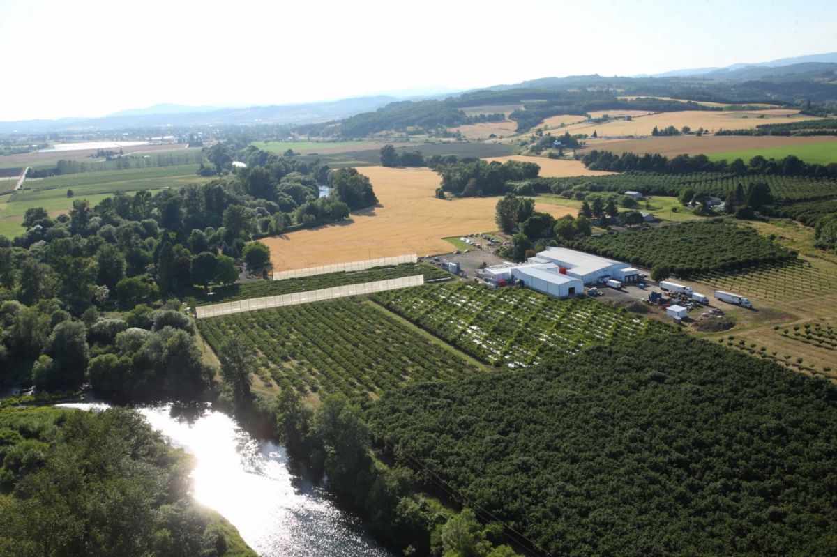 McMinnville and Yamhill County are ripe for agriculture, from grapes to apples to berries. Photo courtesy of HBF International. 
