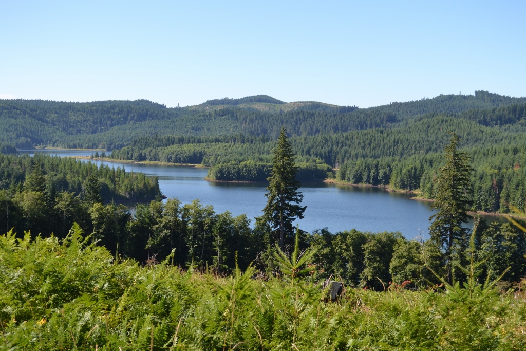 McMinnville Water & Light’s McGuire Reservoir 