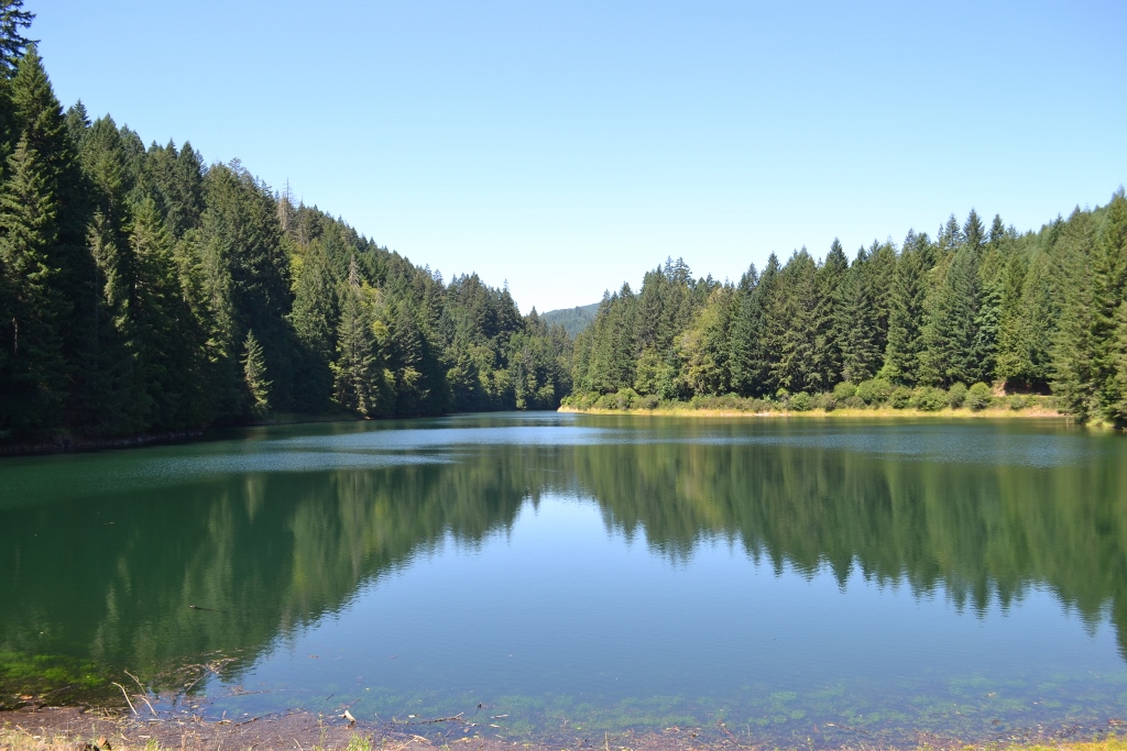 The Haskins Reservoir 