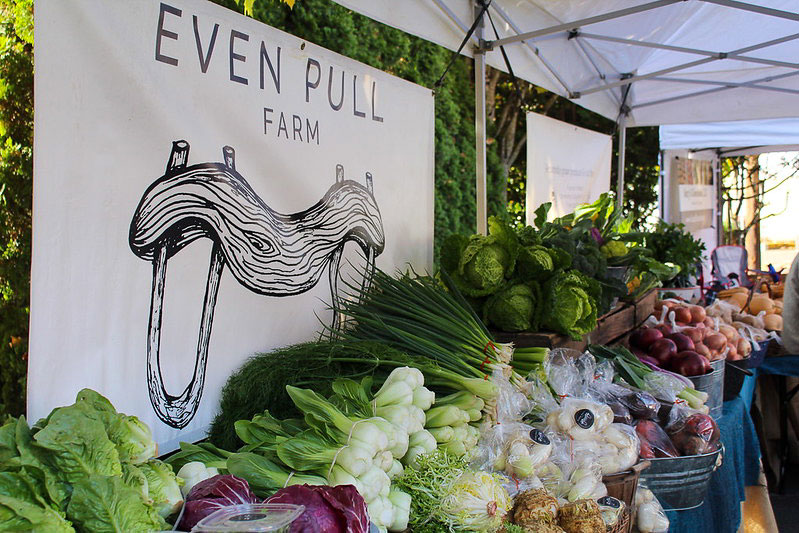 Even Pull at Farmers Market