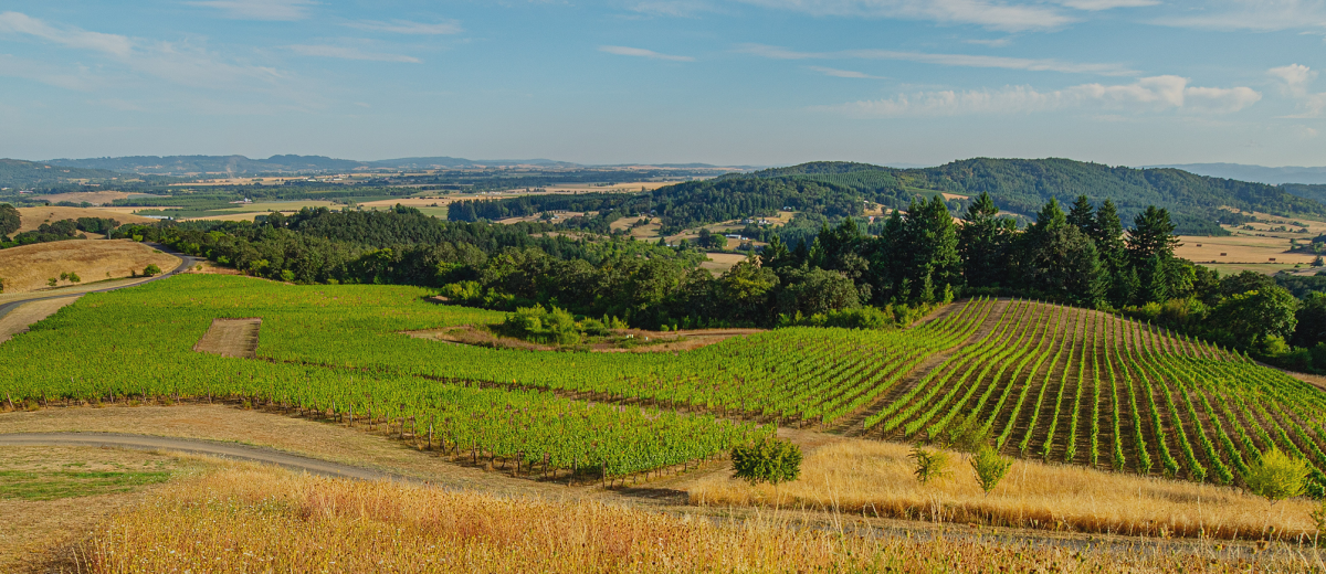 Youngberg Hill